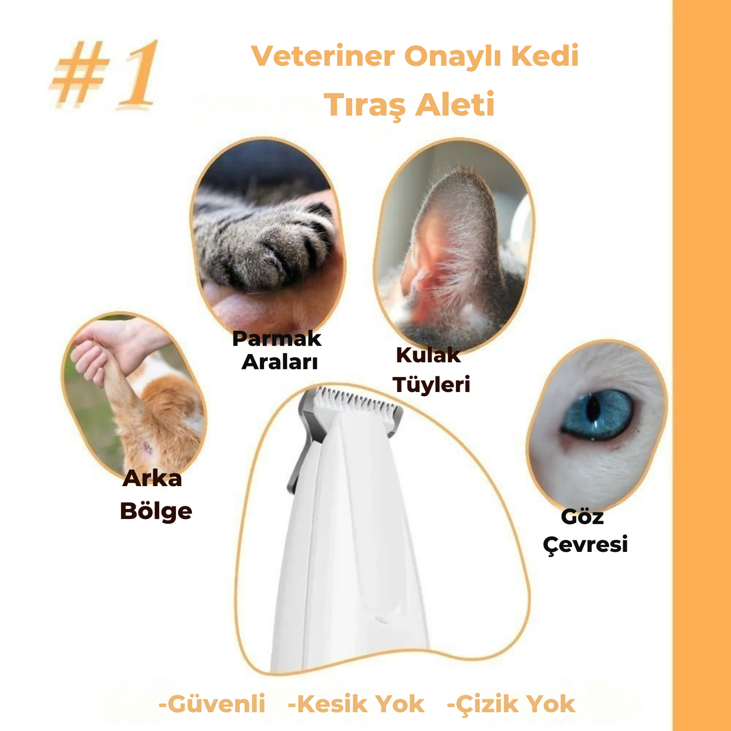 Kedi ve Köpek Tiras Makinesi