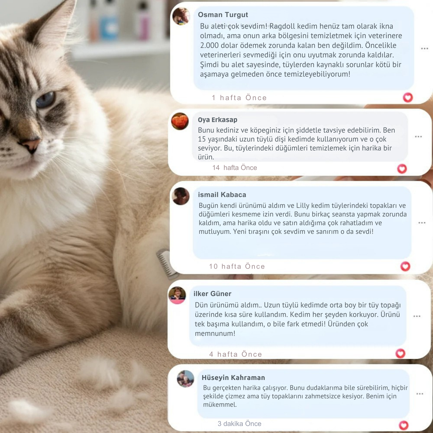 Kedi ve Köpek Tiras Makinesi